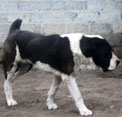 ЕГОР 3