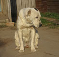 ПНАКОТ 2