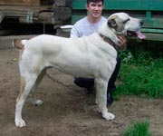 Алтын Асыр Кохта